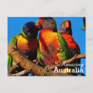 Amazing Australia briefkaart