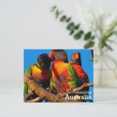 Amazing Australia briefkaart (Staand voorkant)