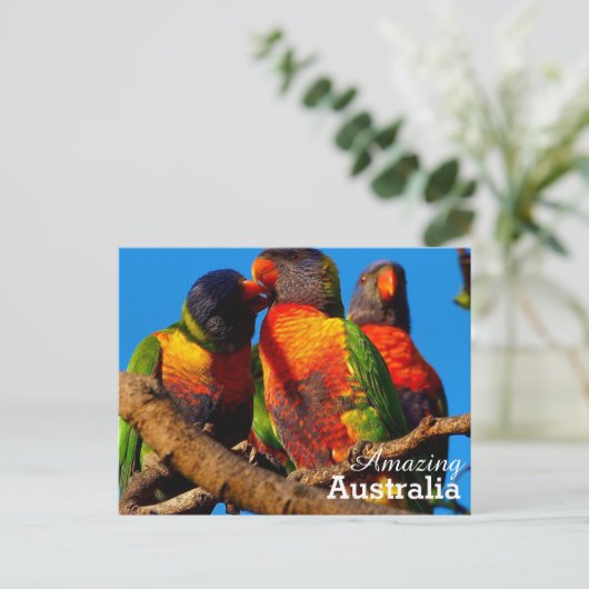 Amazing Australia briefkaart (Staand voorkant)