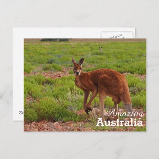 Amazing Australia briefkaart (Voorkant / Achterkant)