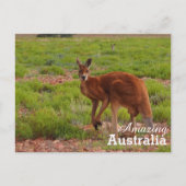 Amazing Australia briefkaart (Voorkant)