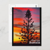 Amazing Australia briefkaart (Voorkant / Achterkant)