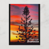 Amazing Australia briefkaart (Voorkant)