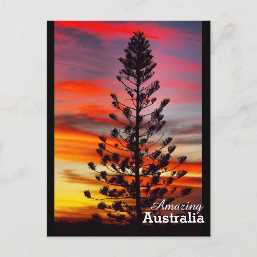 Amazing Australia briefkaart (Voorkant)