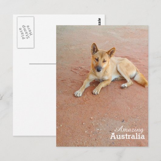 Amazing Australia briefkaart (Voorkant / Achterkant)