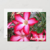 Amazing Australia briefkaart (Voorkant / Achterkant)