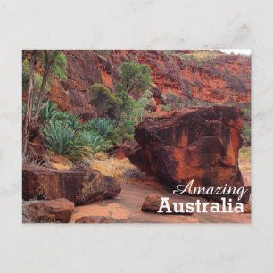 Amazing Australia briefkaart
