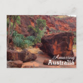 Amazing Australia briefkaart (Voorkant)