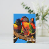 Amazing Australia briefkaart (Staand voorkant)