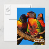 Amazing Australia briefkaart (Voorkant / Achterkant)