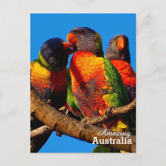 Amazing Australia briefkaart (Voorkant)