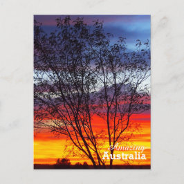 Amazing Australia briefkaart