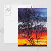 Amazing Australia briefkaart (Voorkant / Achterkant)