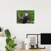 Amazing Bald Eagle Poster (Thuiskantoor)