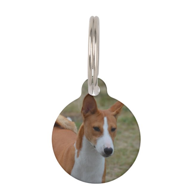 Amazing Basenji Dog Huisdierpenning (Voorkant)