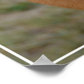 Amazing Basenji Dog Poster (Hoek)