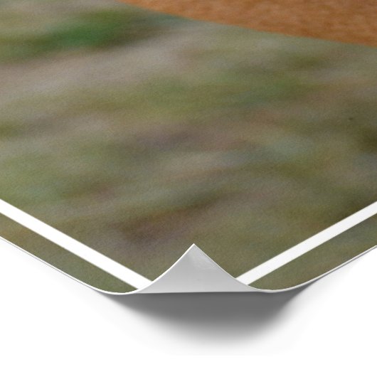 Amazing Basenji Dog Poster (Hoek)