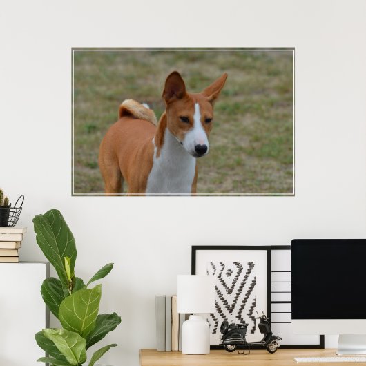 Amazing Basenji Dog Poster (Thuiskantoor)
