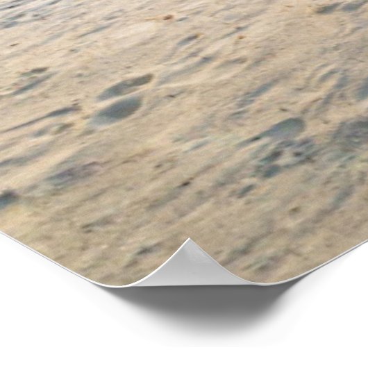 Amazing Beach Sunset Poster (Hoek)