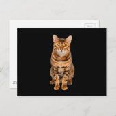 Amazing Bengal Kitten Briefkaart (Voorkant / Achterkant)