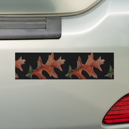 Amazing Black oak leaf Bumpersticker (Op auto)