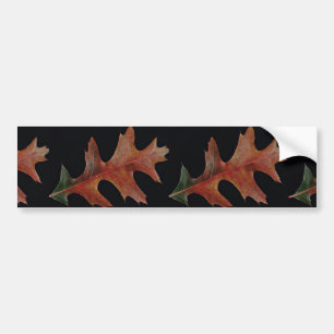 Amazing Black oak leaf Bumpersticker