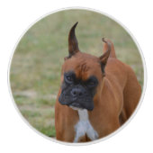 Amazing Boxer Dog Keramische Knop (Voorkant)