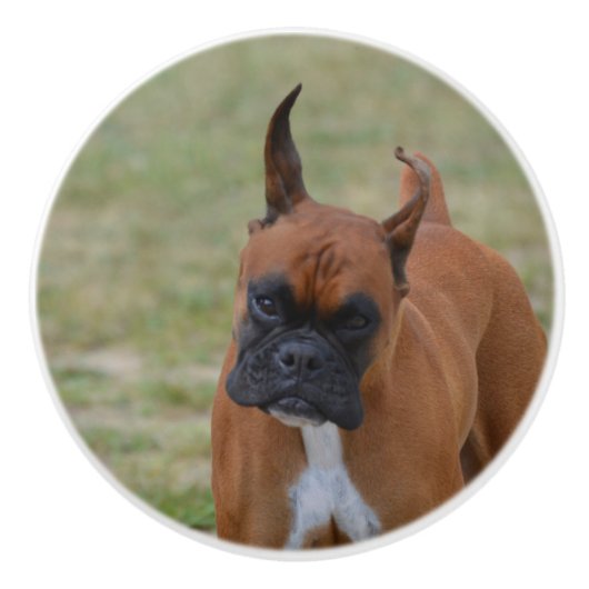 Amazing Boxer Dog Keramische Knop (Voorkant)