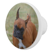 Amazing Boxer Dog Keramische Knop (Rechts)