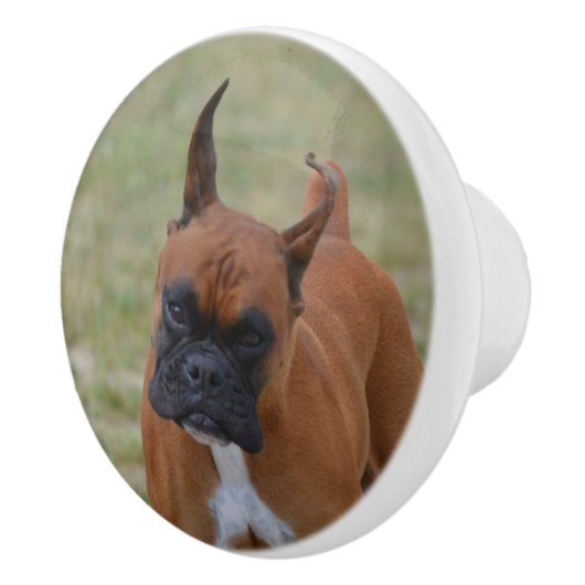 Amazing Boxer Dog Keramische Knop (Rechts)