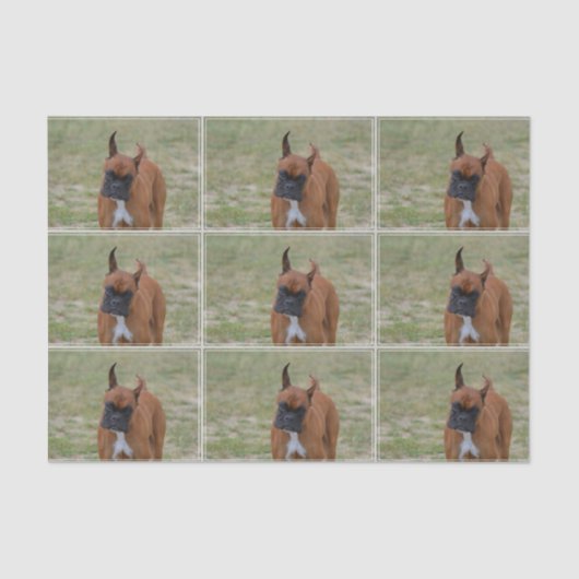 Amazing Boxer Dog Tissuepapier (Voorkant)