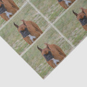 Amazing Boxer Dog Tissuepapier (Detail)