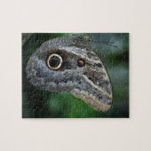 Amazing Caligo Eurilochus Butterfly Legpuzzel (Horizontaal)