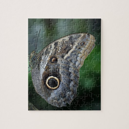 Amazing Caligo Eurilochus Butterfly Legpuzzel (Verticaal)