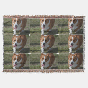Amazing Corgi Deken