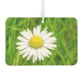 Amazing Daisy Air Freshener Luchtverfrisser (Achterkant)