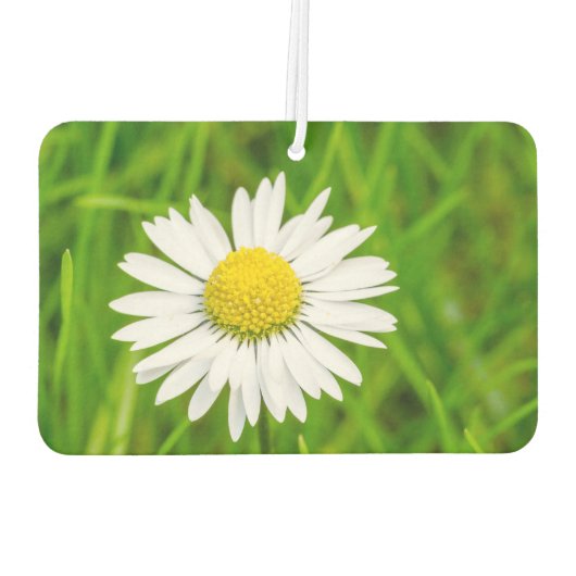 Amazing Daisy Air Freshener Luchtverfrisser (Achterkant)