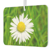 Amazing Daisy Air Freshener Luchtverfrisser (Links)