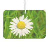 Amazing Daisy Air Freshener Luchtverfrisser (Voorkant)