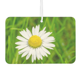 Amazing Daisy Air Freshener Luchtverfrisser