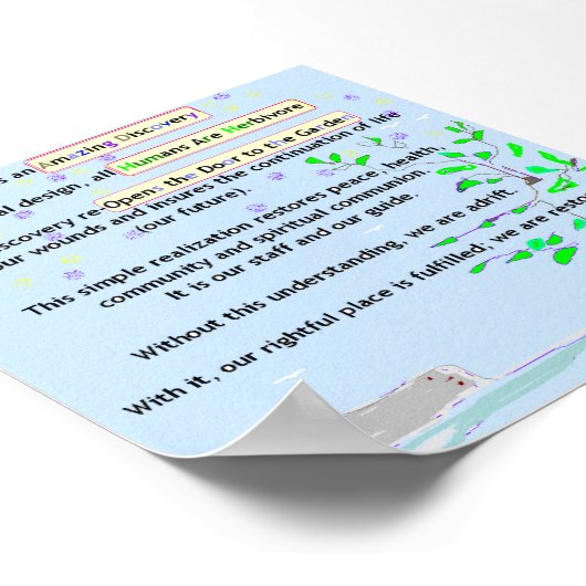 Amazing Discovery Poster (Hoek)