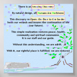 Amazing Discovery Poster