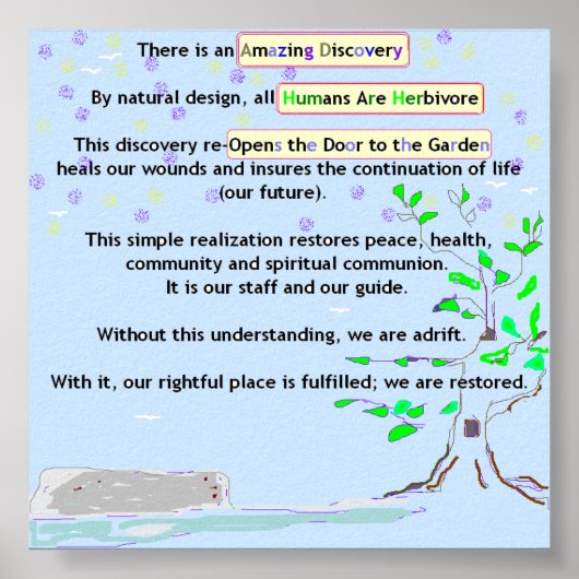 Amazing Discovery Poster (Voorkant)