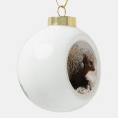 Amazing Dwarf Mongoose Keramische Bal Ornament (Links)