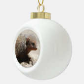 Amazing Dwarf Mongoose Keramische Bal Ornament (Rechts)