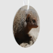 Amazing Dwarf Mongoose Ornament (voorkant)