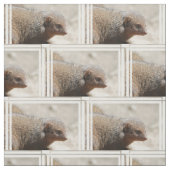 Amazing Dwarf Mongoose Stof (Swatch)