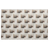 Amazing Dwarf Mongoose Stof (Fat Quarter)