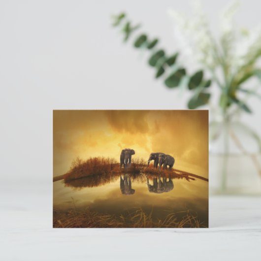 Amazing Elephant Sunset Briefkaart (Staand voorkant)