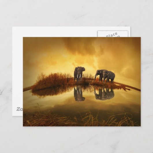 Amazing Elephant Sunset Briefkaart (Voorkant / Achterkant)